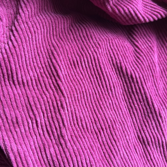 Pacsun Empyre wide leg corduroy pants size 8 - Picture 3 of 7